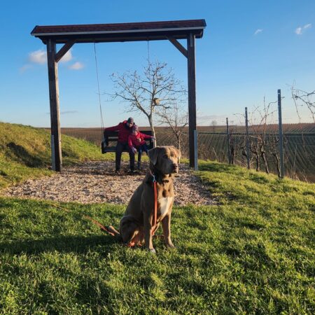14.08. 16 Uhr Weinwanderung Hoffest